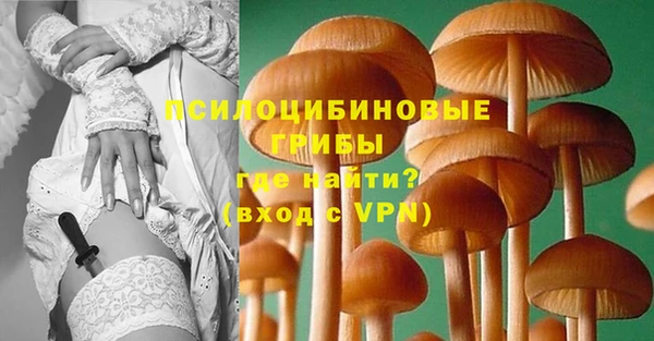трава Нефтегорск