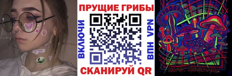 Галлюциногенные грибы Psilocybine cubensis  цены наркотик  Тверь 