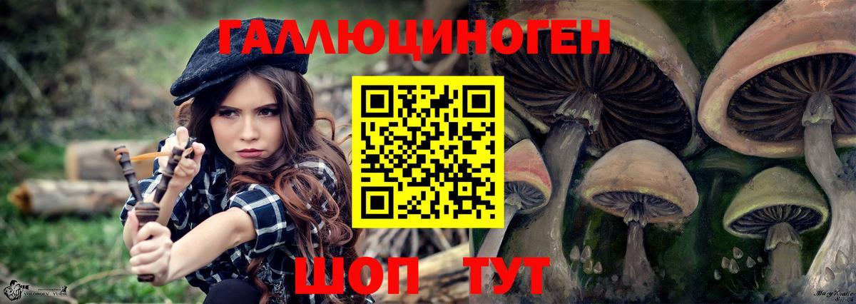 Псилоцибиновые грибы Magic Shrooms  Вход с VPN  Тверь 